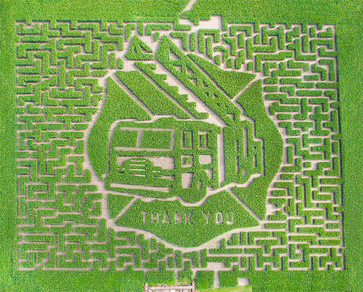 Photo: Severs Corn Maze.