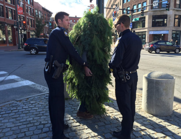 Portland, Maine police arrest a tree