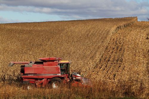 007harvest102011.jpg