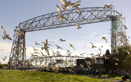 duluth_bridge_gulls.jpg