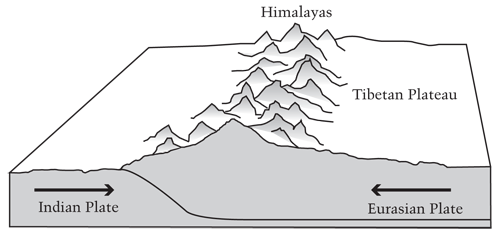 tyscience8_q1_img1.gif